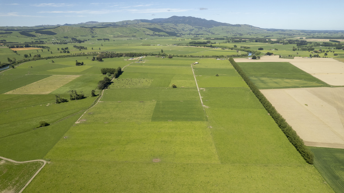 Location, Soils and Potential – Irrigated Dairy Farm