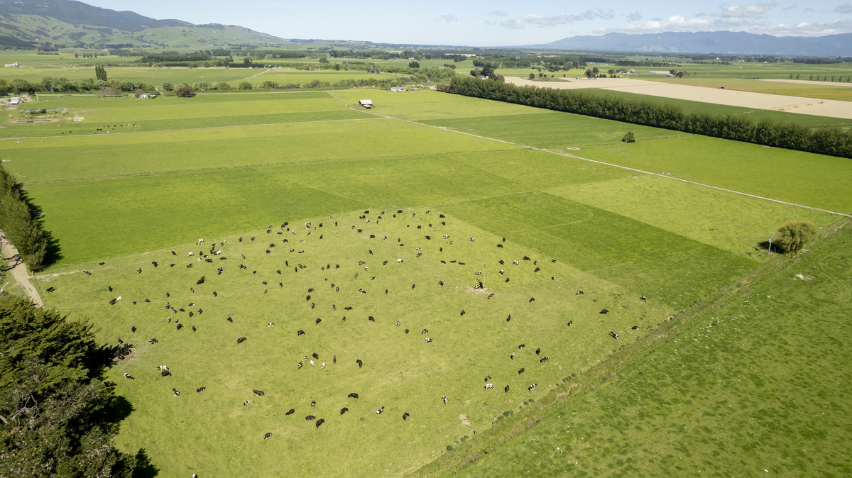 Location, Soils and Potential – Irrigated Dairy Farm