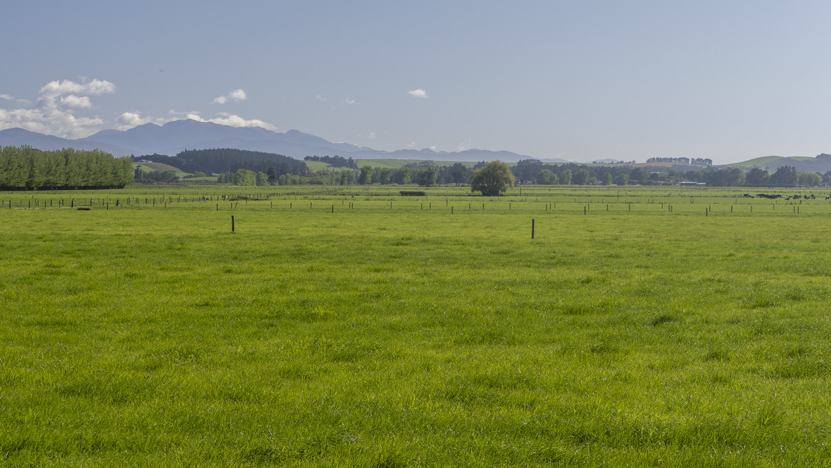 Location, Soils and Potential – Irrigated Dairy Farm