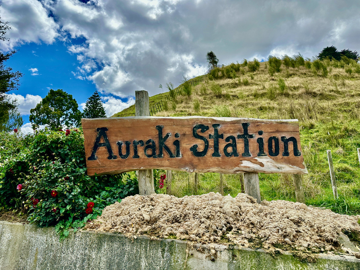 Auraki Station - Where Scale, Performance and Infrastructure Equal Opportunity