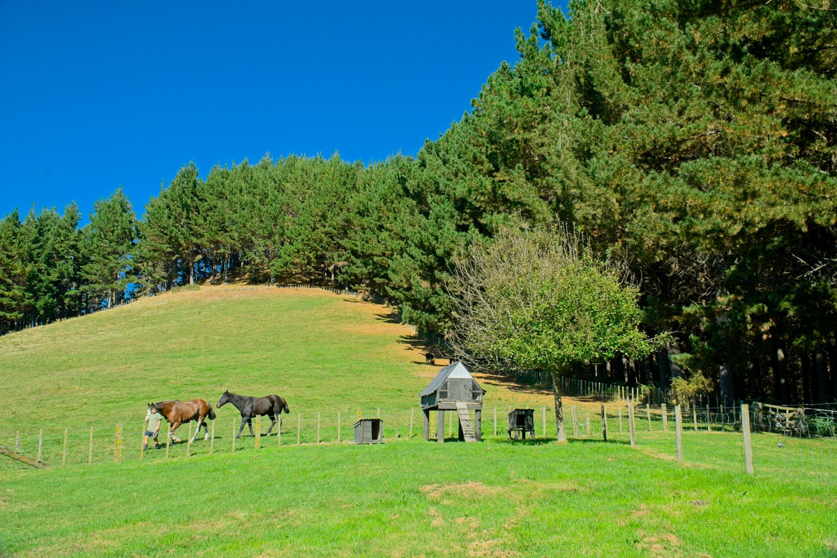 Moving on up to the Country- 16.7ha