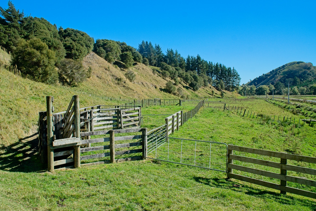 Moving on up to the Country- 16.7ha