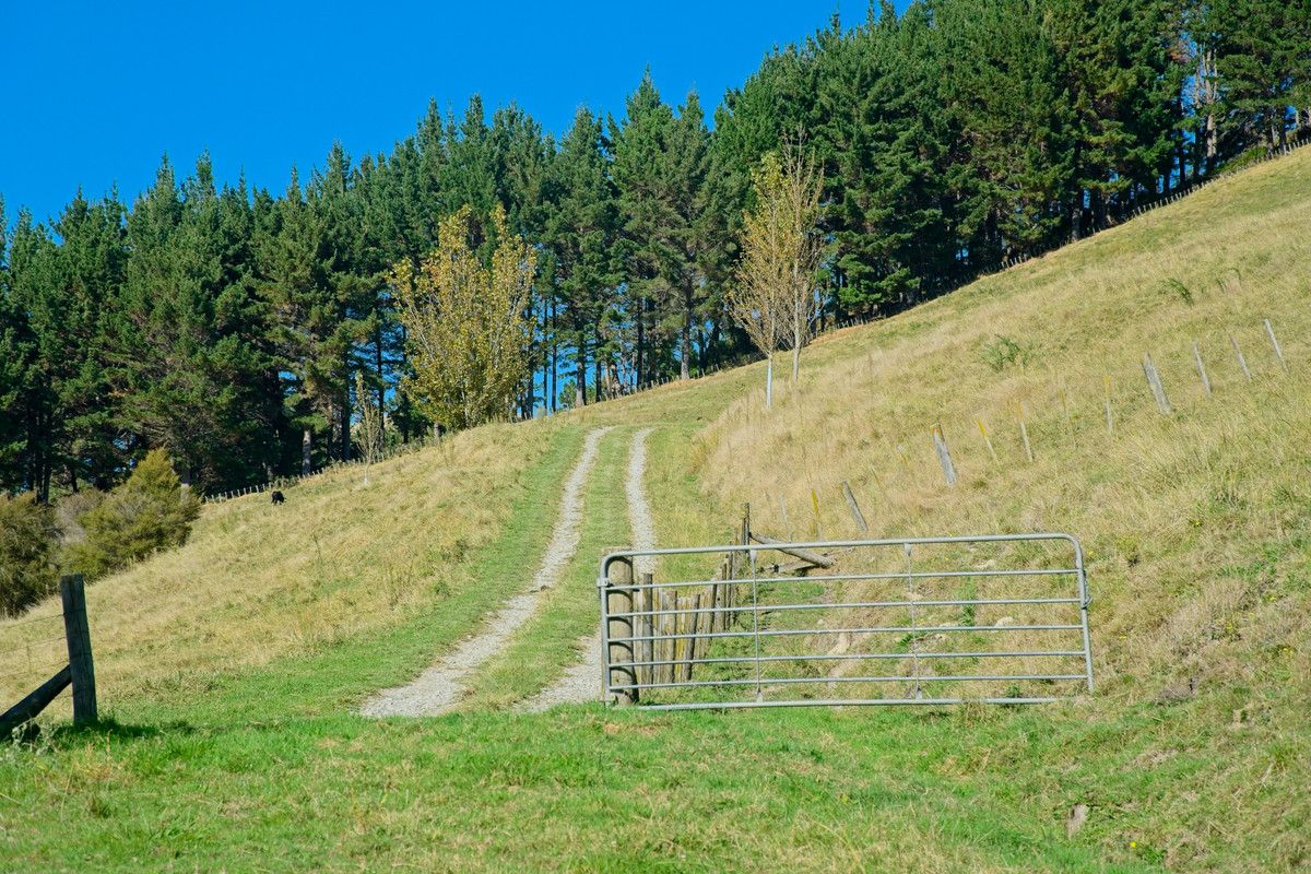 Moving on up to the Country- 16.7ha