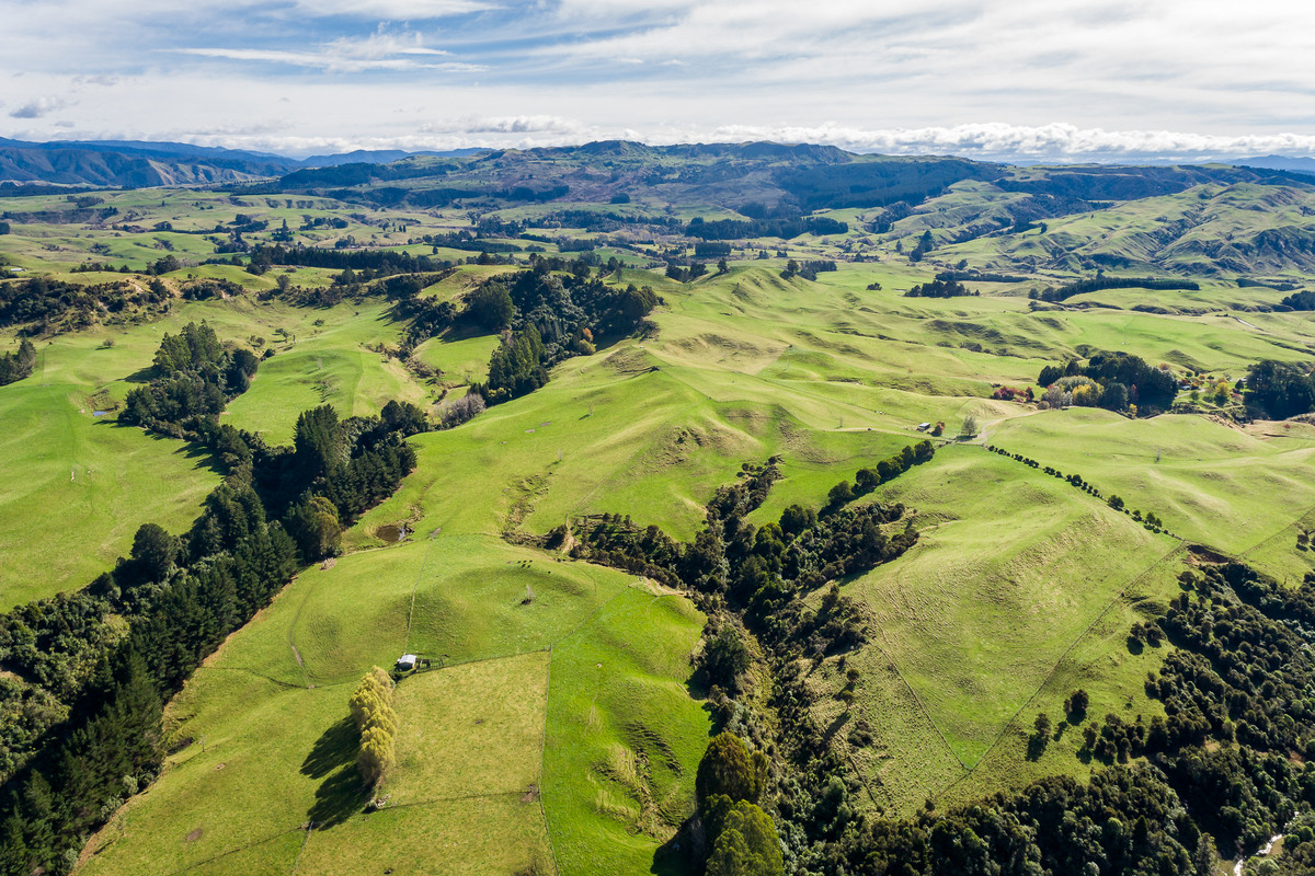 Quality farmland with X-Factor