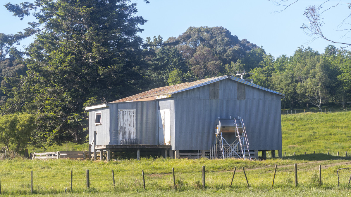 Strong Summer Country Opportunity