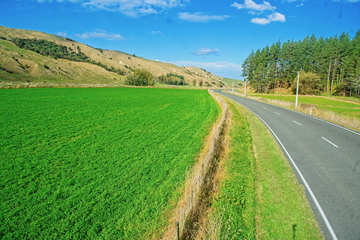 'Flat out at Ngatapa'- Affordable 8.2 hectares of cropping/ finishing/ grazing land.