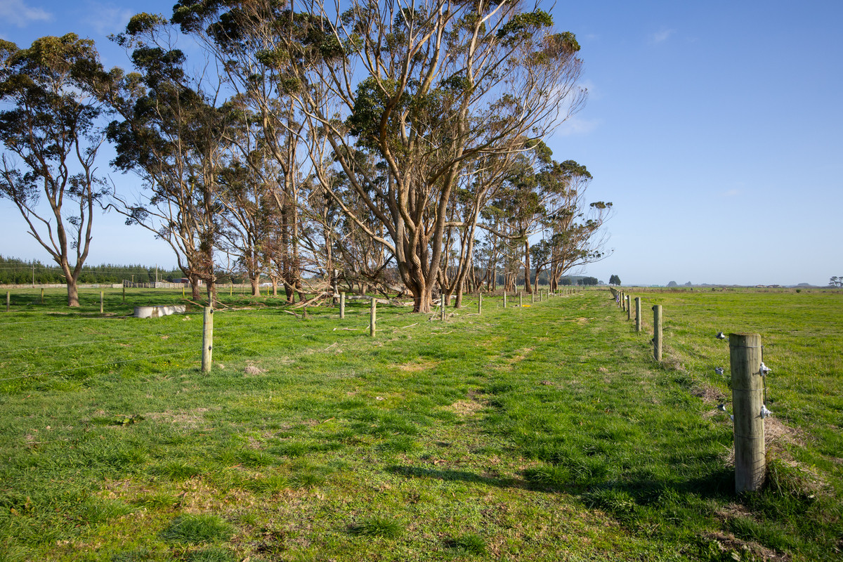 Smart Bareland Sand Block - 22.7ha