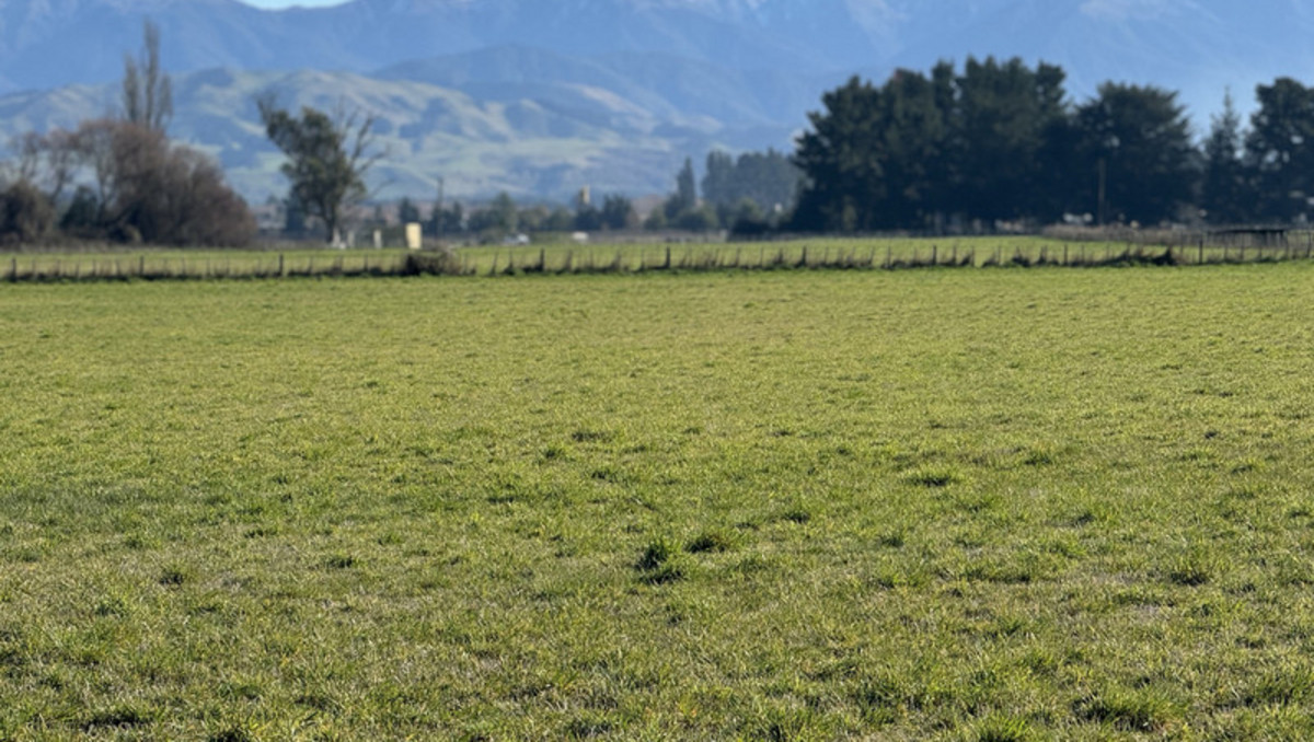 Well Located Bare Land Block