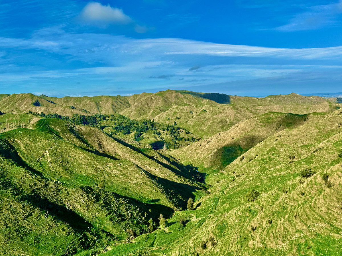 'Kereru Farm', Small farm- big opportunity