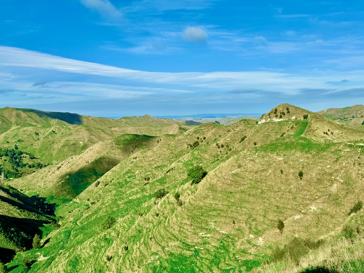 'Kereru Farm', Small farm- big opportunity