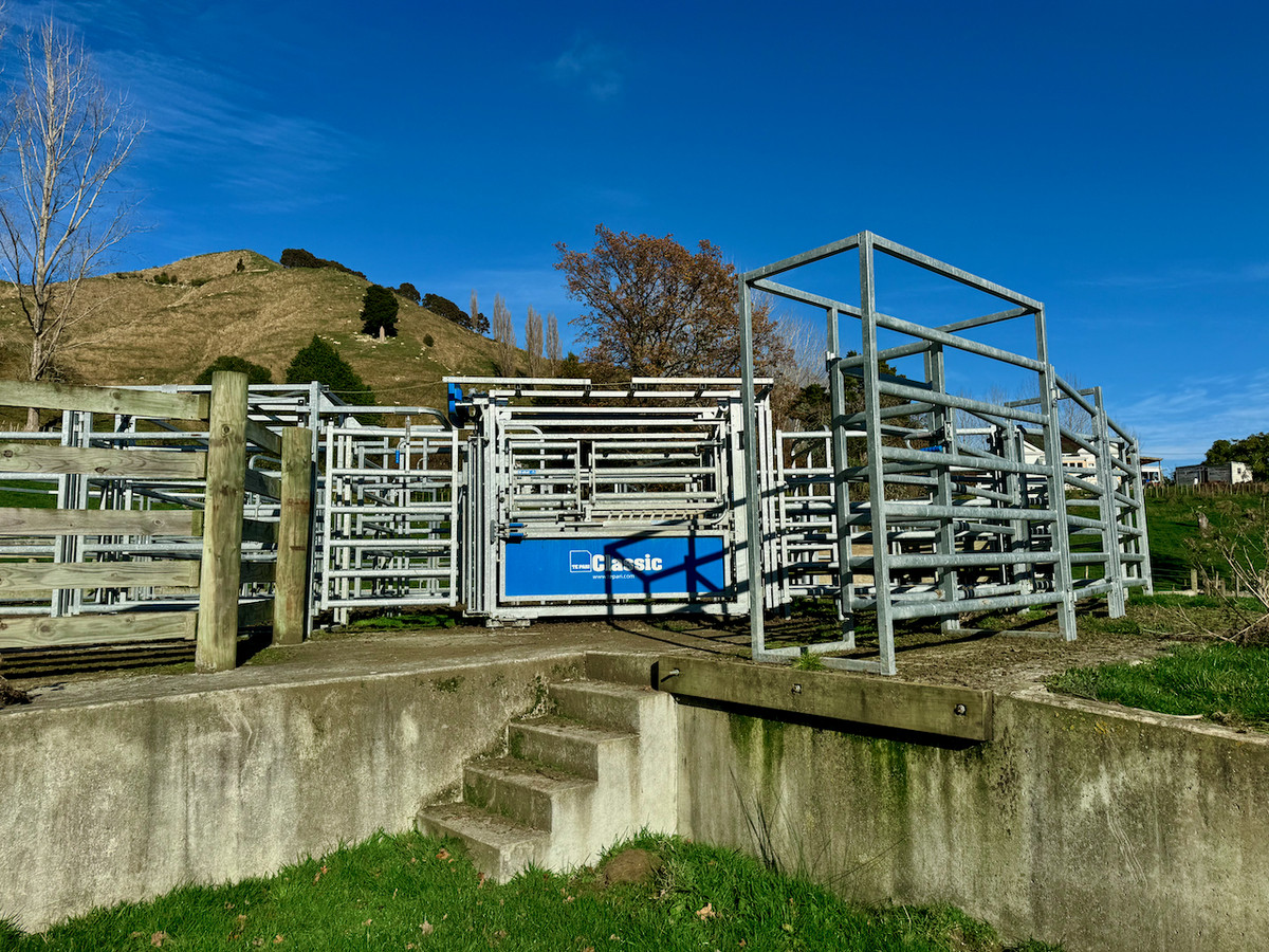 'Kereru Farm', Small farm- big opportunity