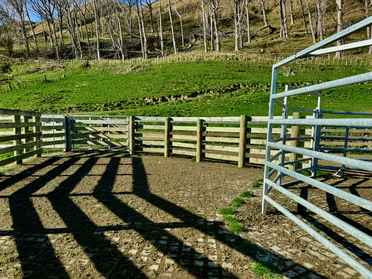 'Kereru Farm', Small farm- big opportunity