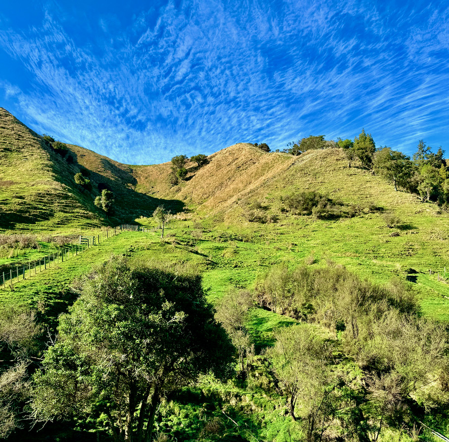 'Kereru Farm', Small farm- big opportunity