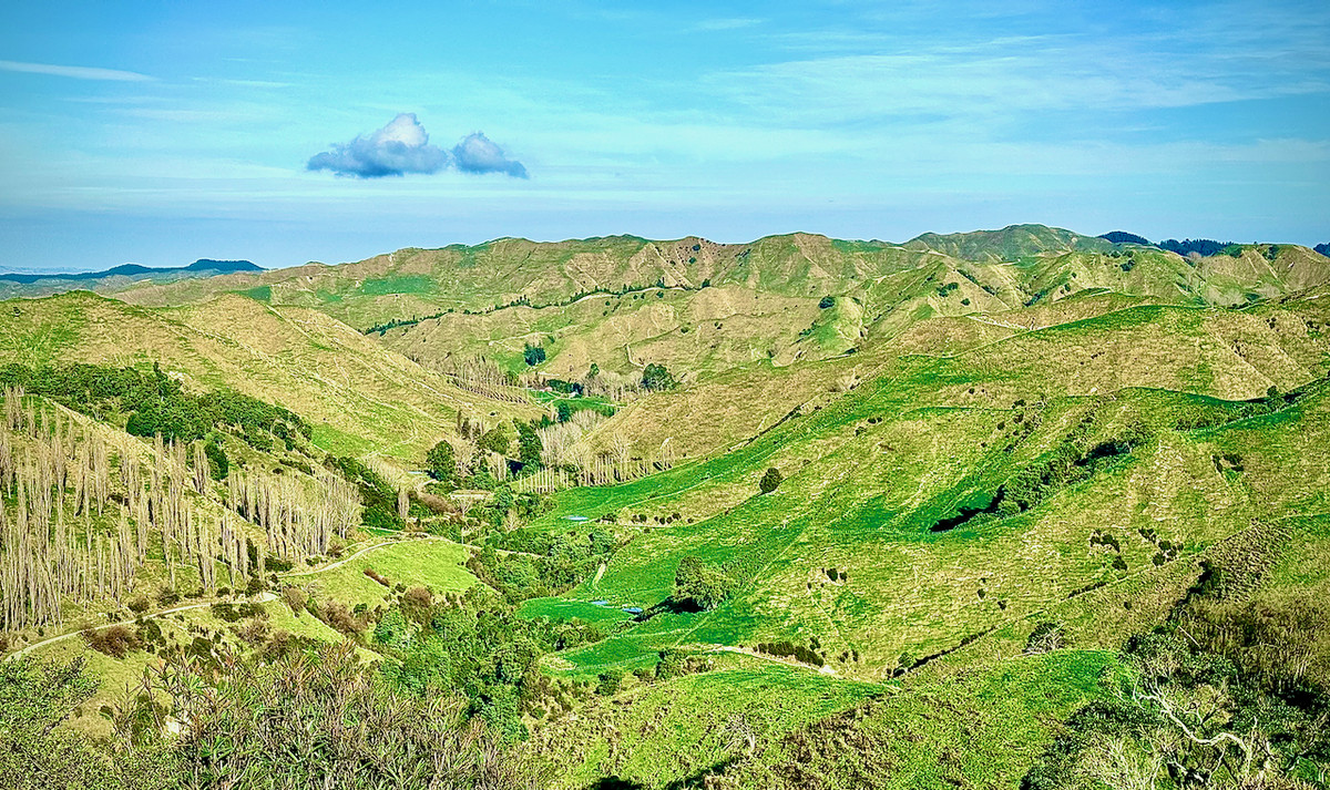 'Kereru Farm', Small farm- big opportunity