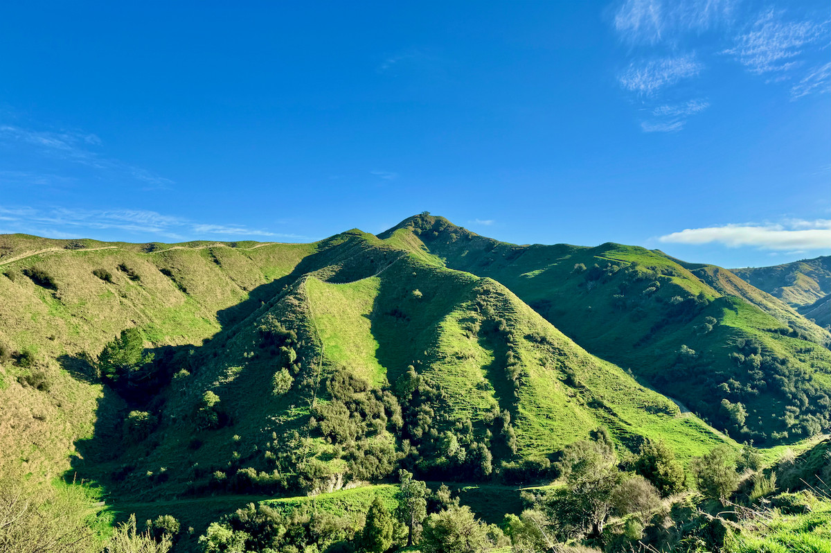 'Kereru Farm', Small farm- big opportunity