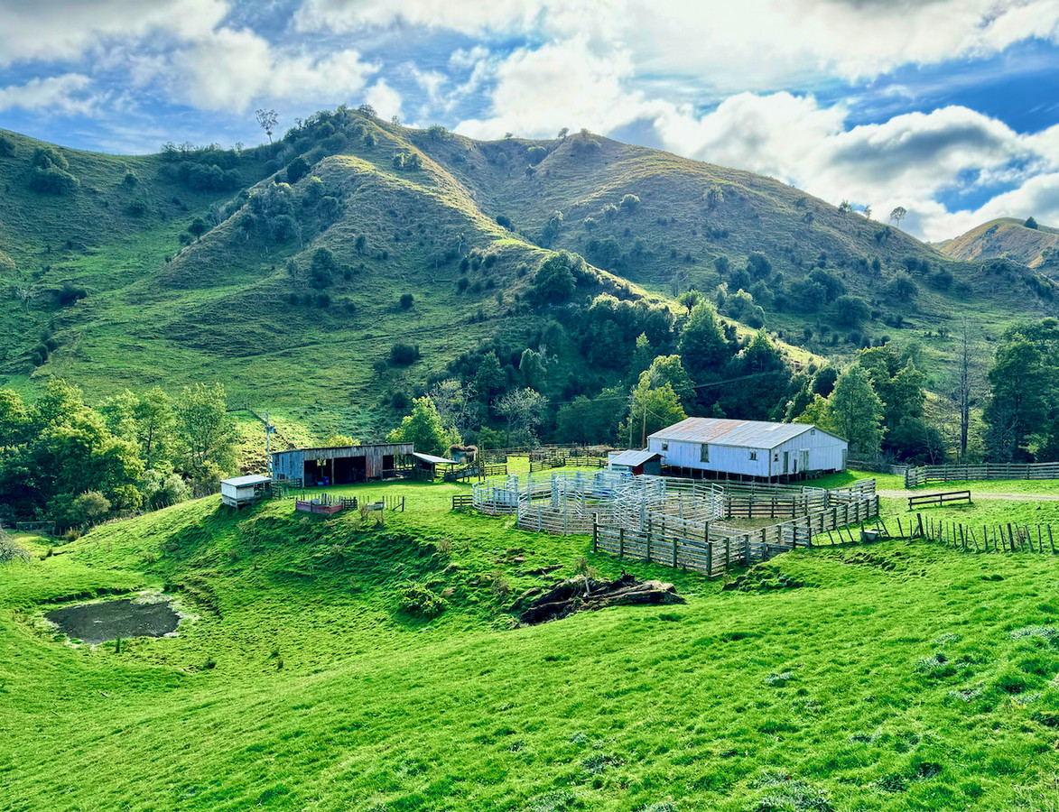 'Kereru Farm', Small farm- big opportunity