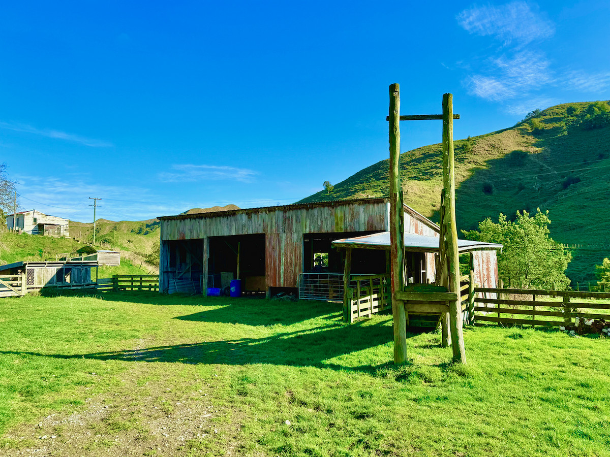 'Kereru Farm', Small farm- big opportunity