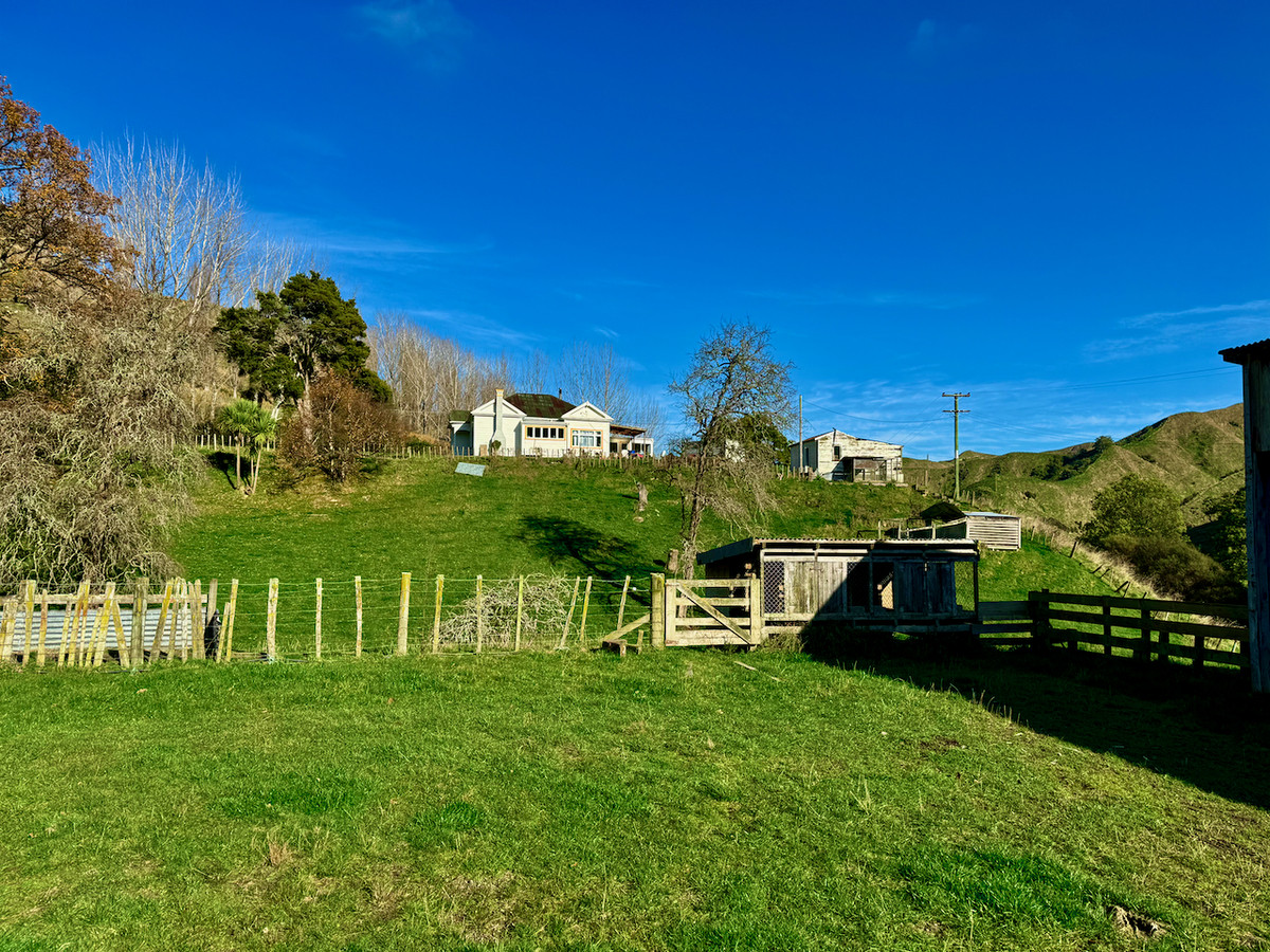 'Kereru Farm', Small farm- big opportunity