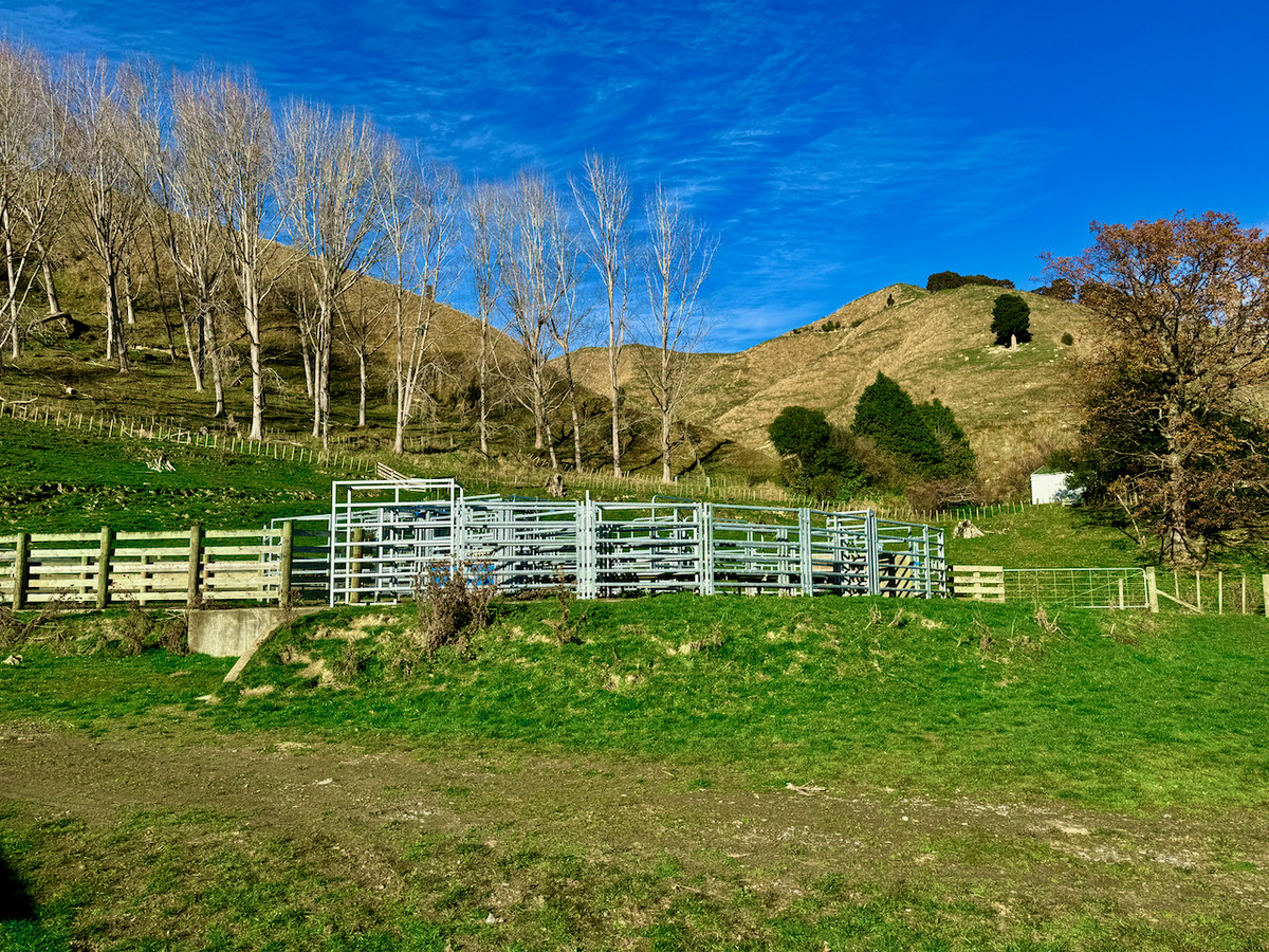 'Kereru Farm', Small farm- big opportunity