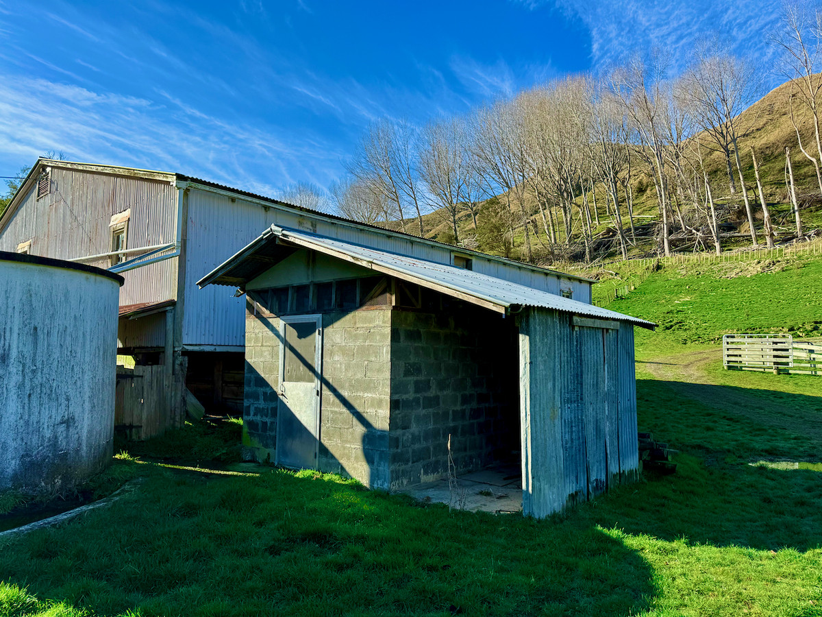 'Kereru Farm', Small farm- big opportunity