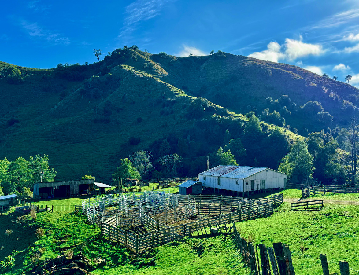 'Kereru Farm', Small farm- big opportunity