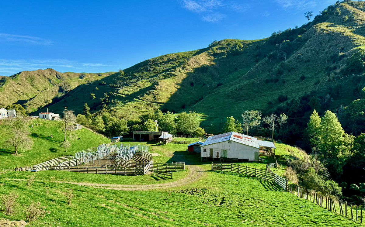 'Kereru Farm', Small farm- big opportunity