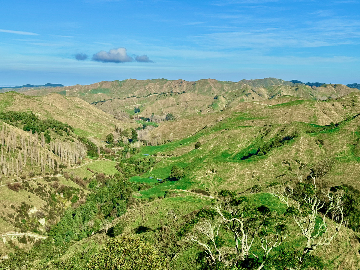 'Kereru Farm', Small farm- big opportunity