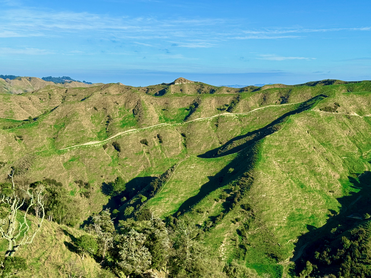 'Kereru Farm', Small farm- big opportunity