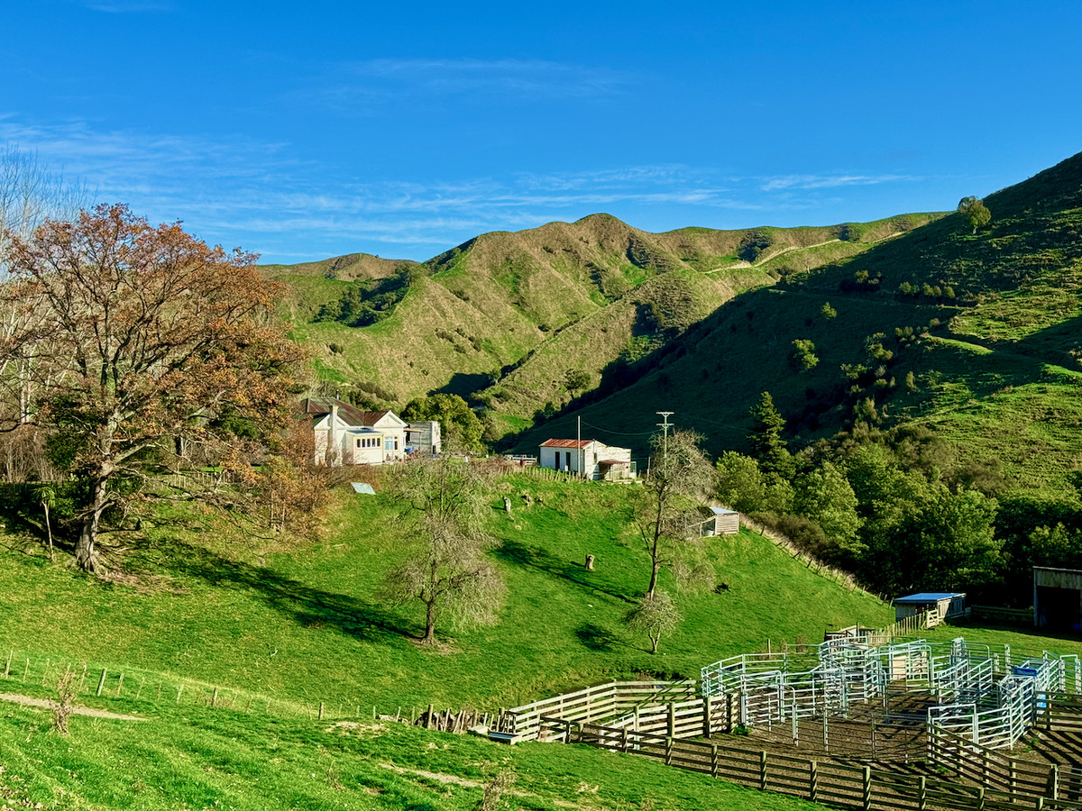 'Kereru Farm', Small farm- big opportunity