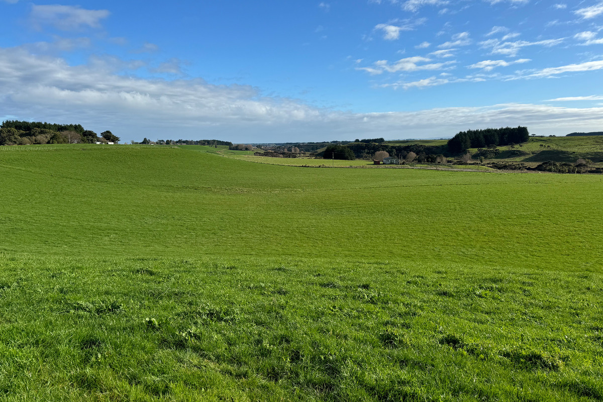 Quality Bareland - 38.3 hectares