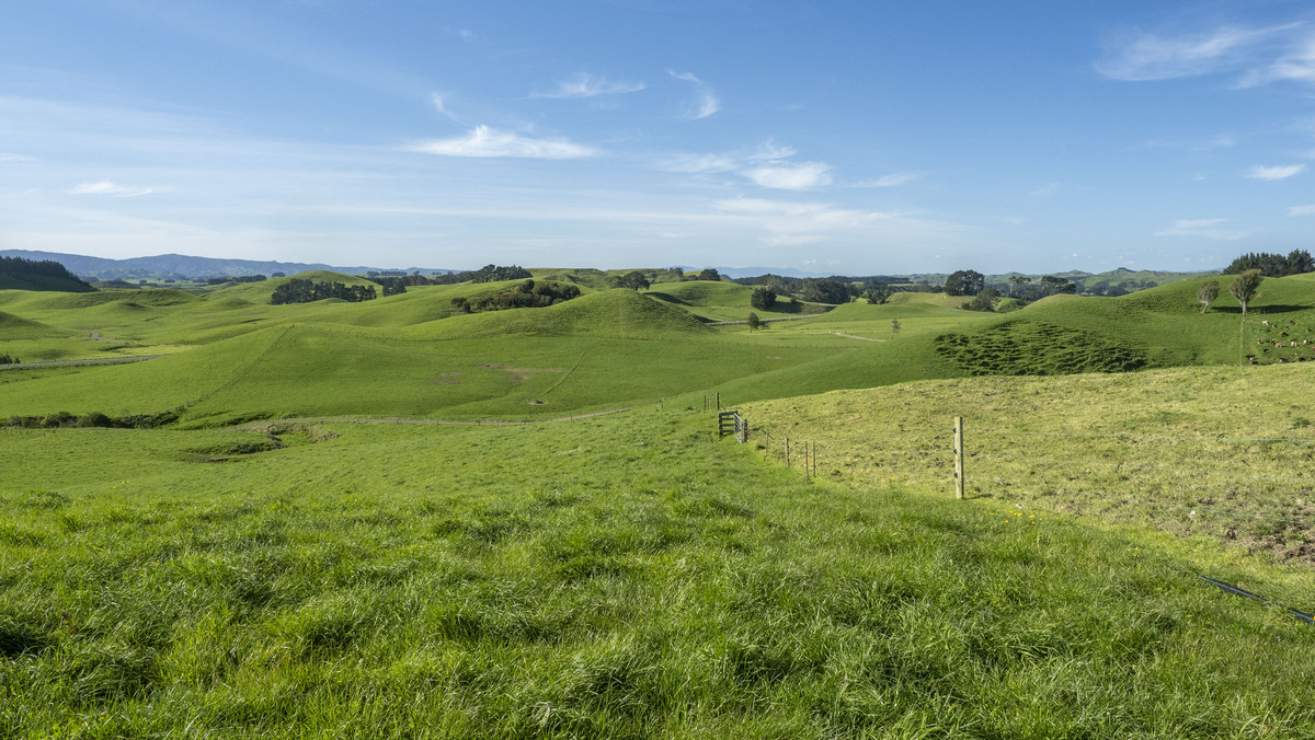 Green Belt Dairy / Finishing With Purchase Options