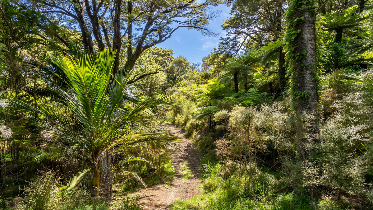 Substantial Landholding on Wellington’s Doorstep