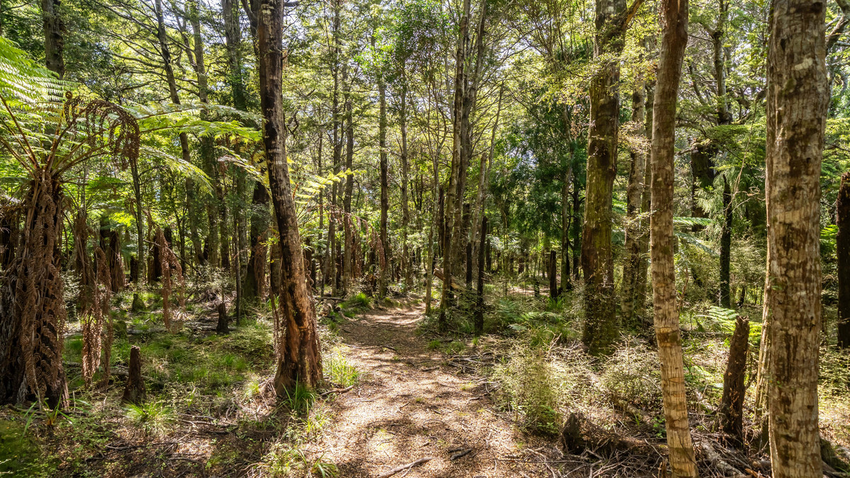 Substantial Landholding on Wellington’s Doorstep