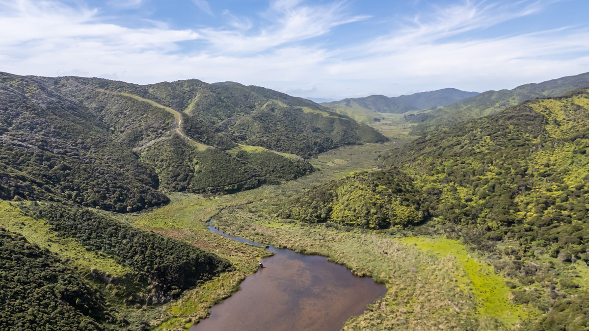 Substantial Landholding on Wellington’s Doorstep