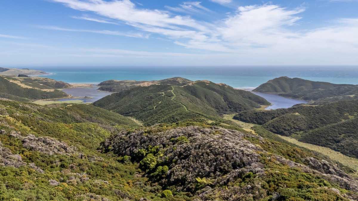 Substantial Landholding on Wellington’s Doorstep