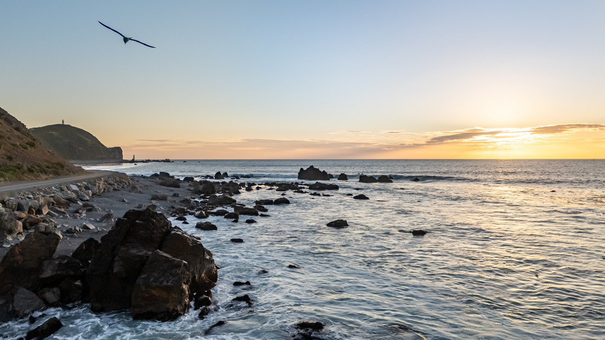 Substantial Landholding on Wellington’s Doorstep