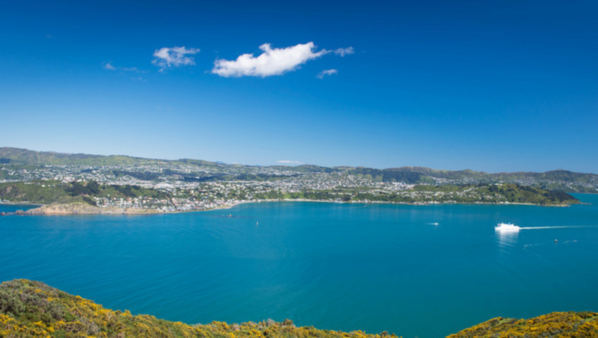 Substantial Landholding on Wellington’s Doorstep