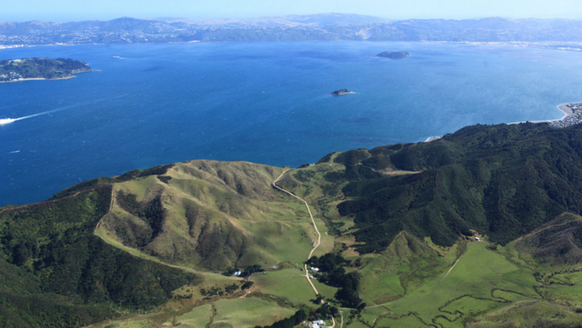 Substantial Landholding on Wellington’s Doorstep