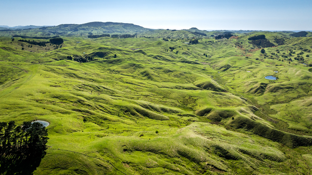 Motere Station - Significant scale & well located.