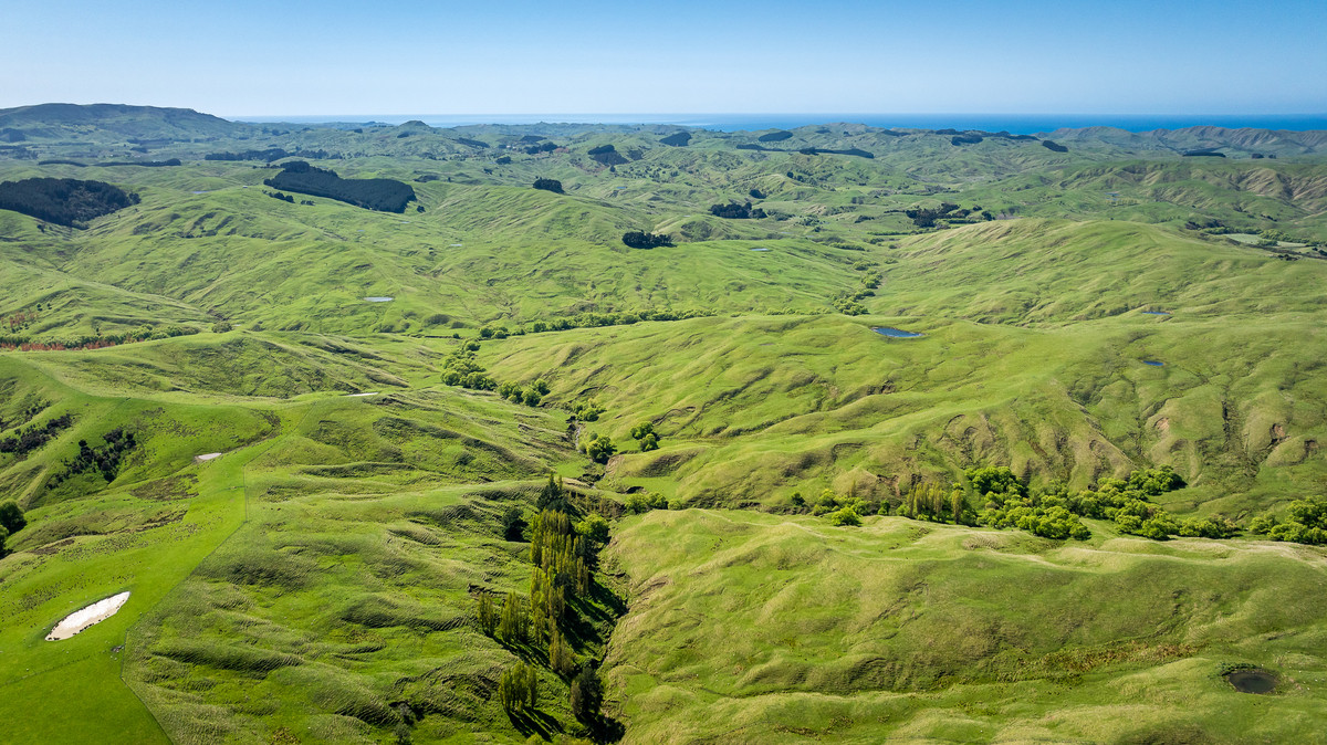 Motere Station - Significant scale & well located.