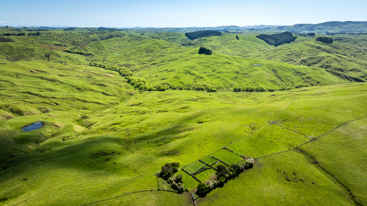 Motere Station - Significant scale & well located.