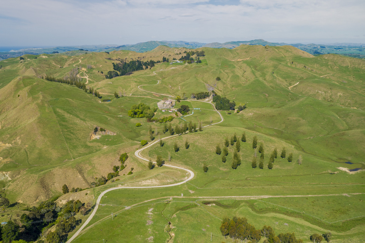 Waipuna Station - 1,517 hectares