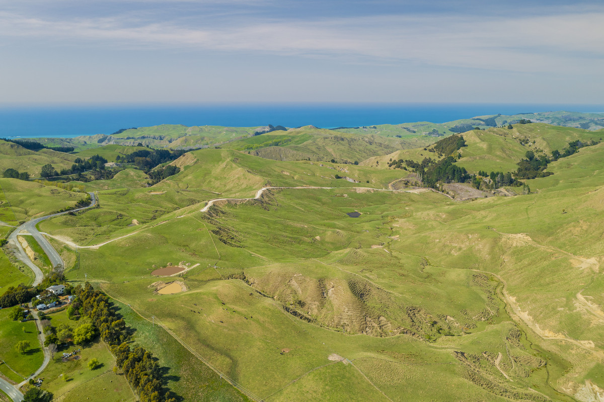 Waipuna Station - 1,517 hectares