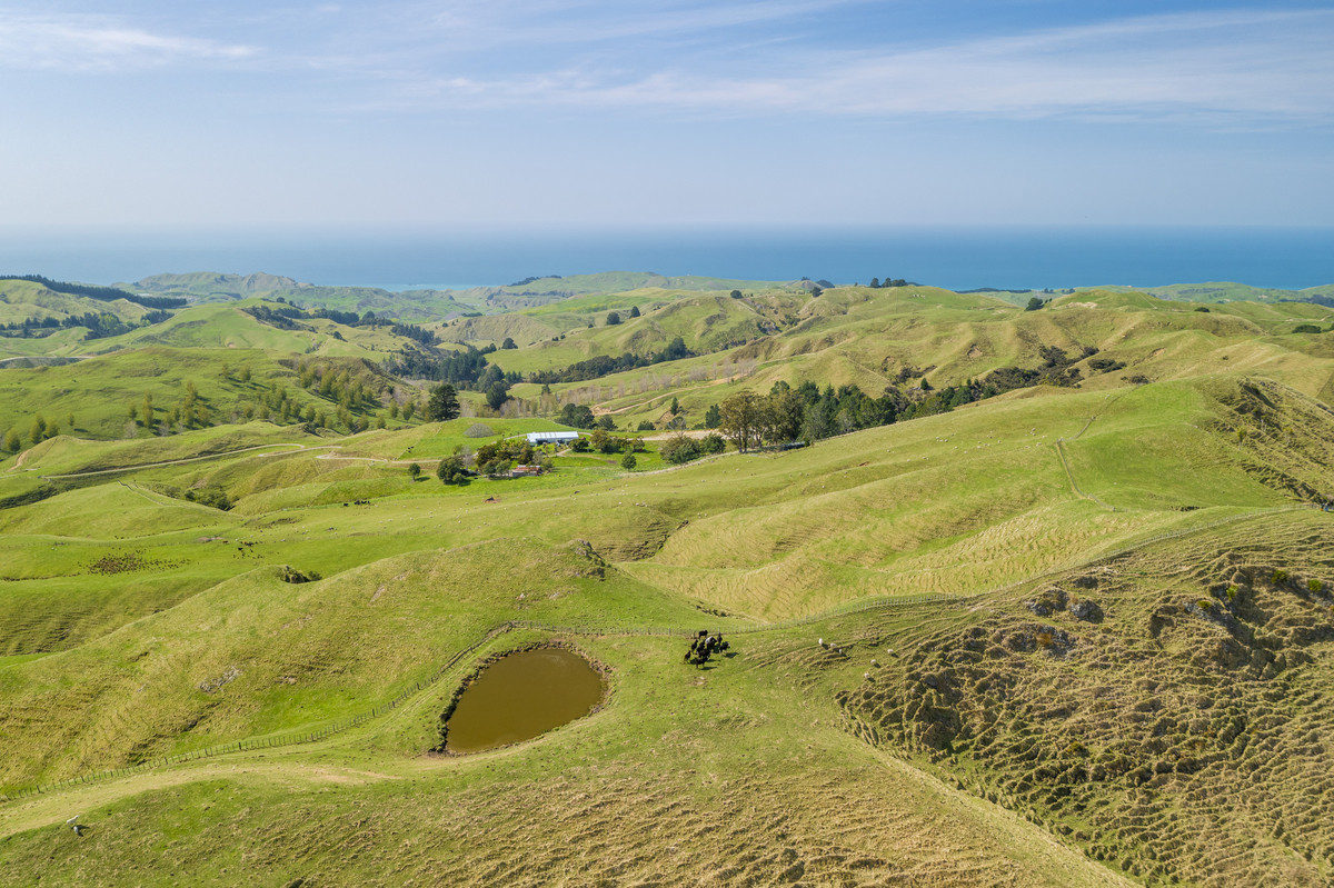 Waipuna Station - 1,517 hectares