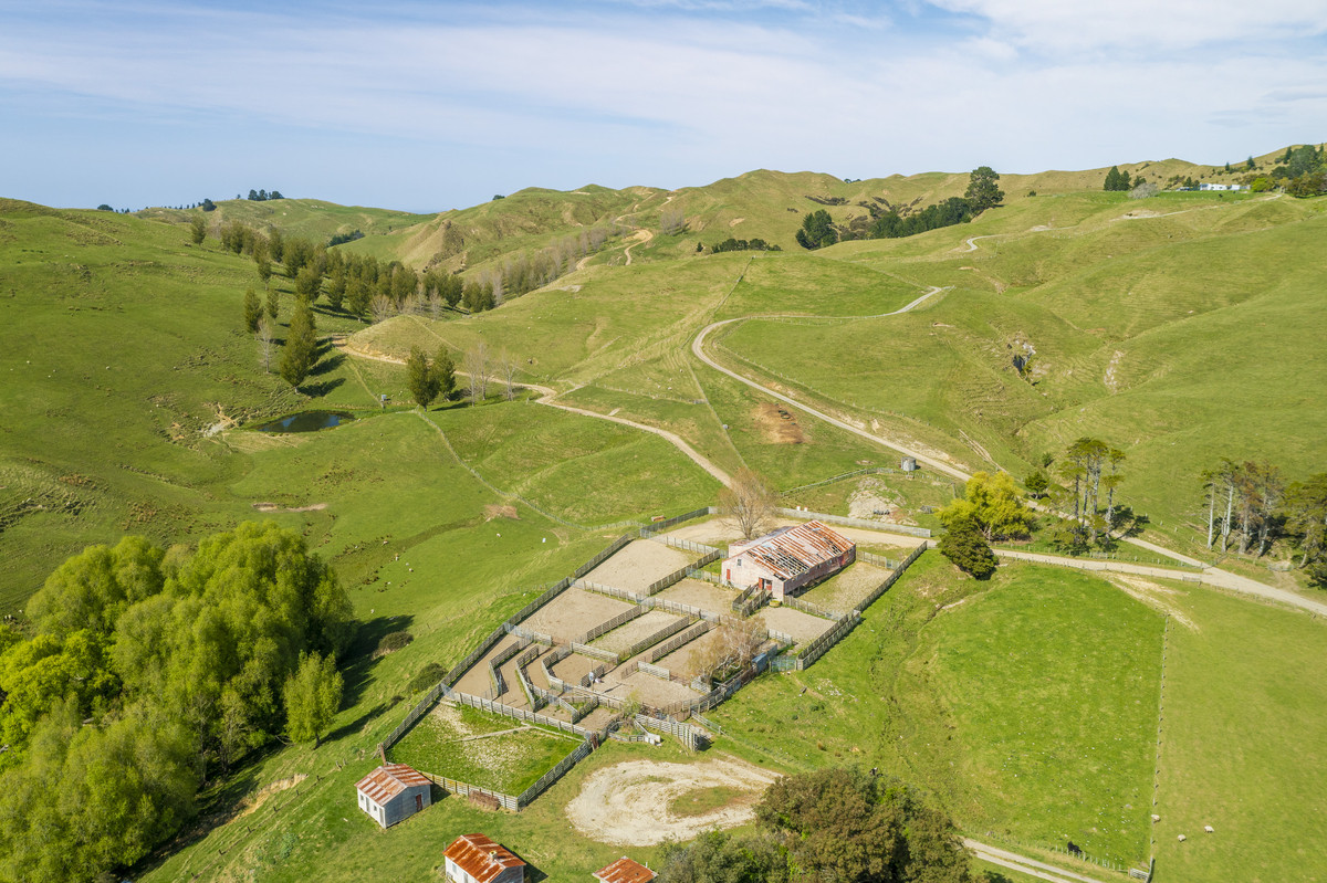 Waipuna Station - 1,517 hectares