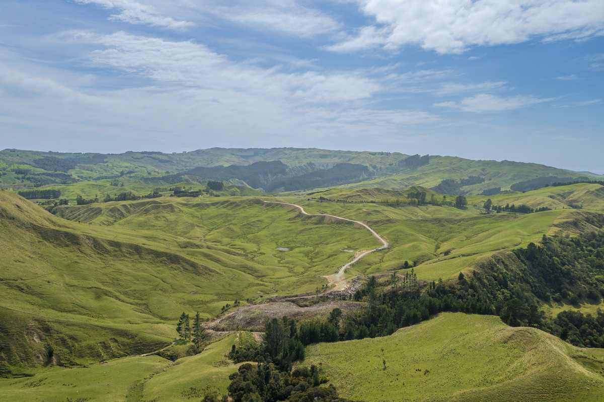 Waipuna Station - 1,517 hectares