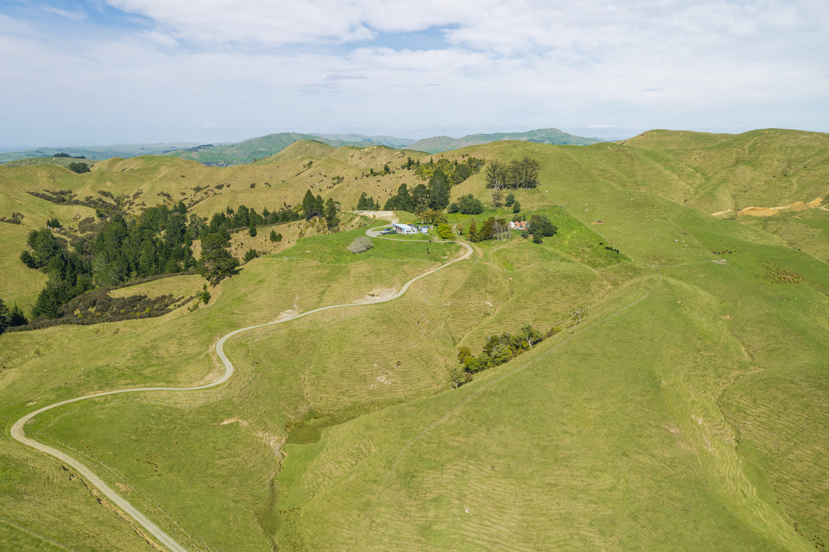 Waipuna Station - 1,517 hectares