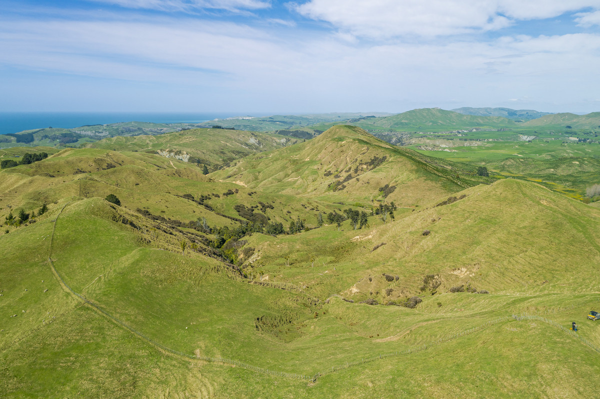 Waipuna Station - 1,517 hectares