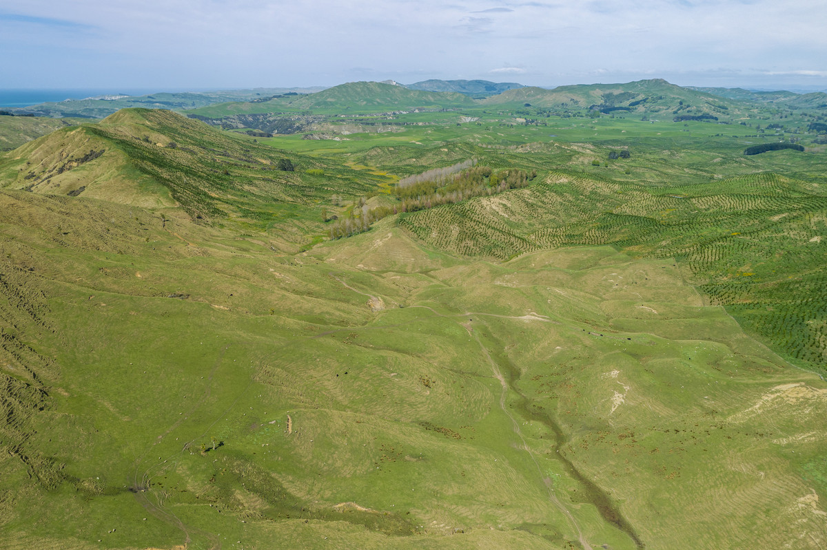 Waipuna Station - 1,517 hectares