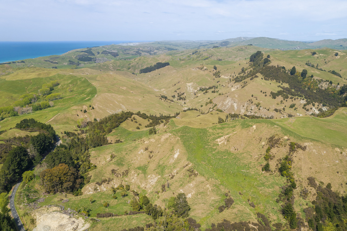 Waipuna Station - 1,517 hectares